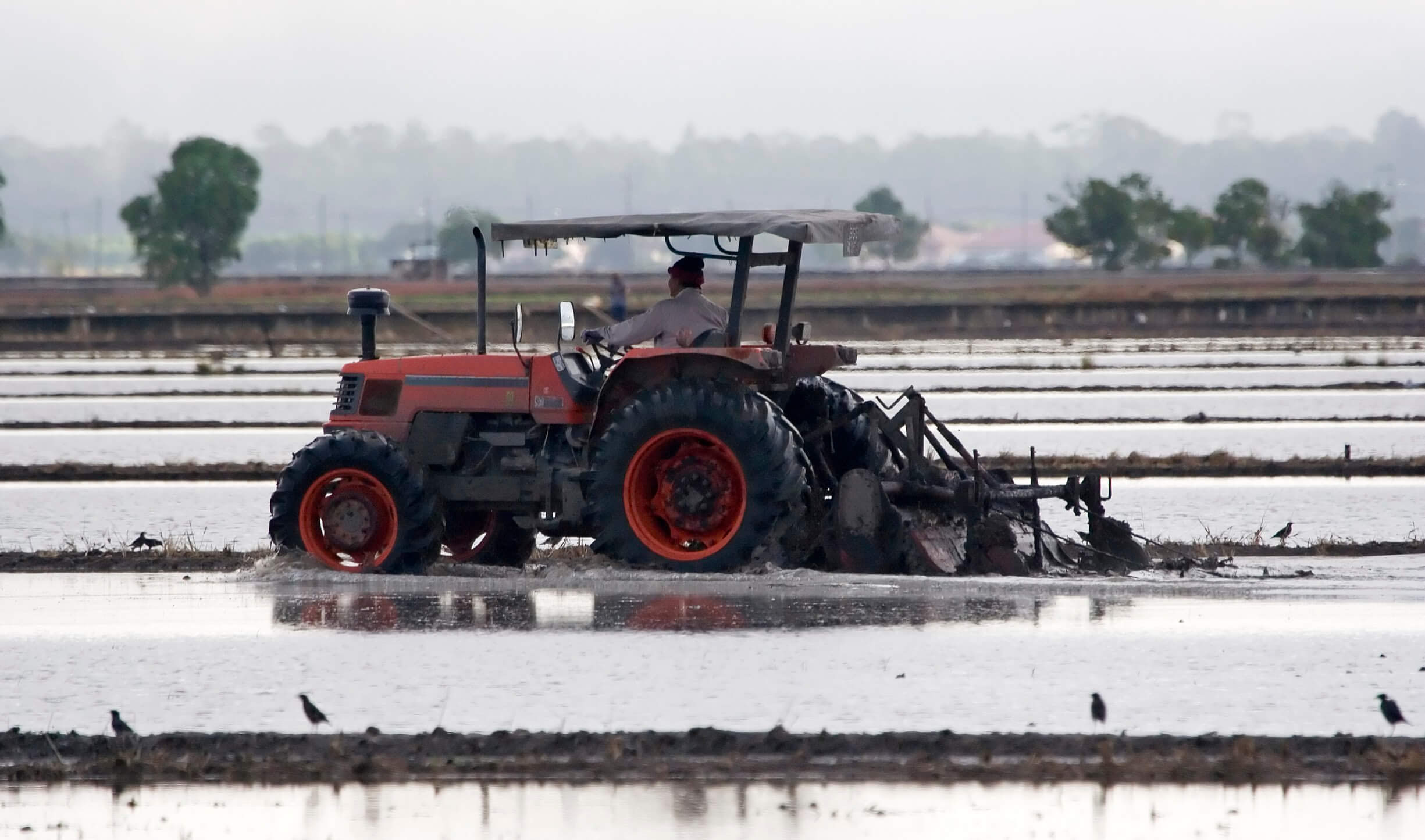 Do Your Servicing Processes Fit Into the Farm Safety Net?